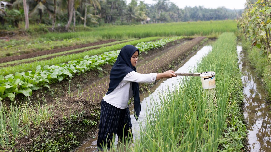 Die 24-jährige Samrotul Puadah bewässert die Pflanzen auf ihrem Feld in Bojung, Westjava. Aii war eine der zwölf Gewinner*innen des Wettbewerbs für junge Landwirt*innen, der von der Partnerorganisation JAMTANI veranstaltet wurde, und baut auf dem Stück Land, das sie mit dem Startkapital aus dem Gewinn des Wettbewerbs erwerben konnte, verschiedene Pflanzen an.