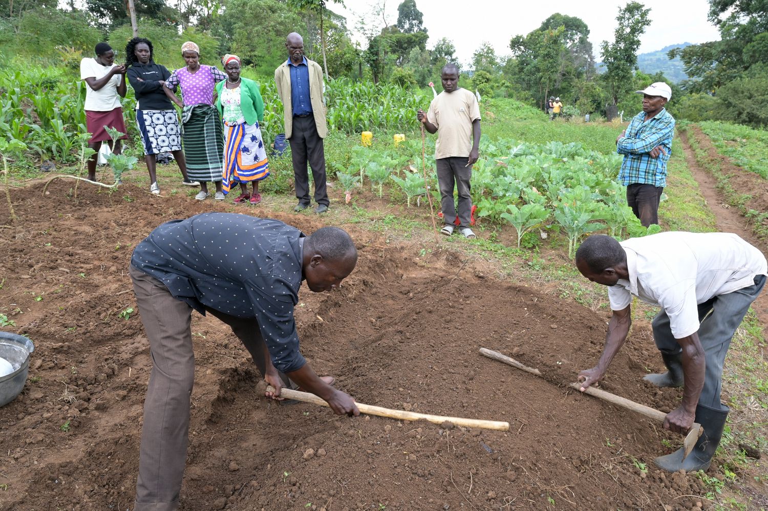 Mehr als 30 ausgewählte Hilfsprojekte Brot für die Welt