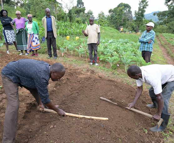 Kleinbauern in Kenia bereiten ein Beet zur Aussaat vor