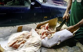 gefrorenes Hühnerfleisch wird zerschnitten