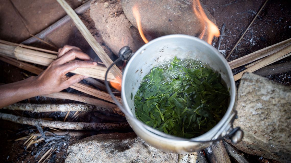 Blätter kochen in einem Topf über einer Feuerstelle
