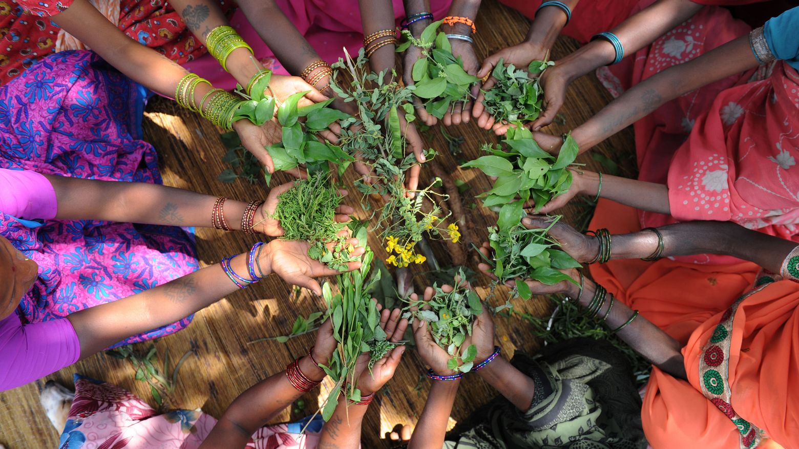 Frauen sitzen im Kreis und halten Kräuter in den Händen
