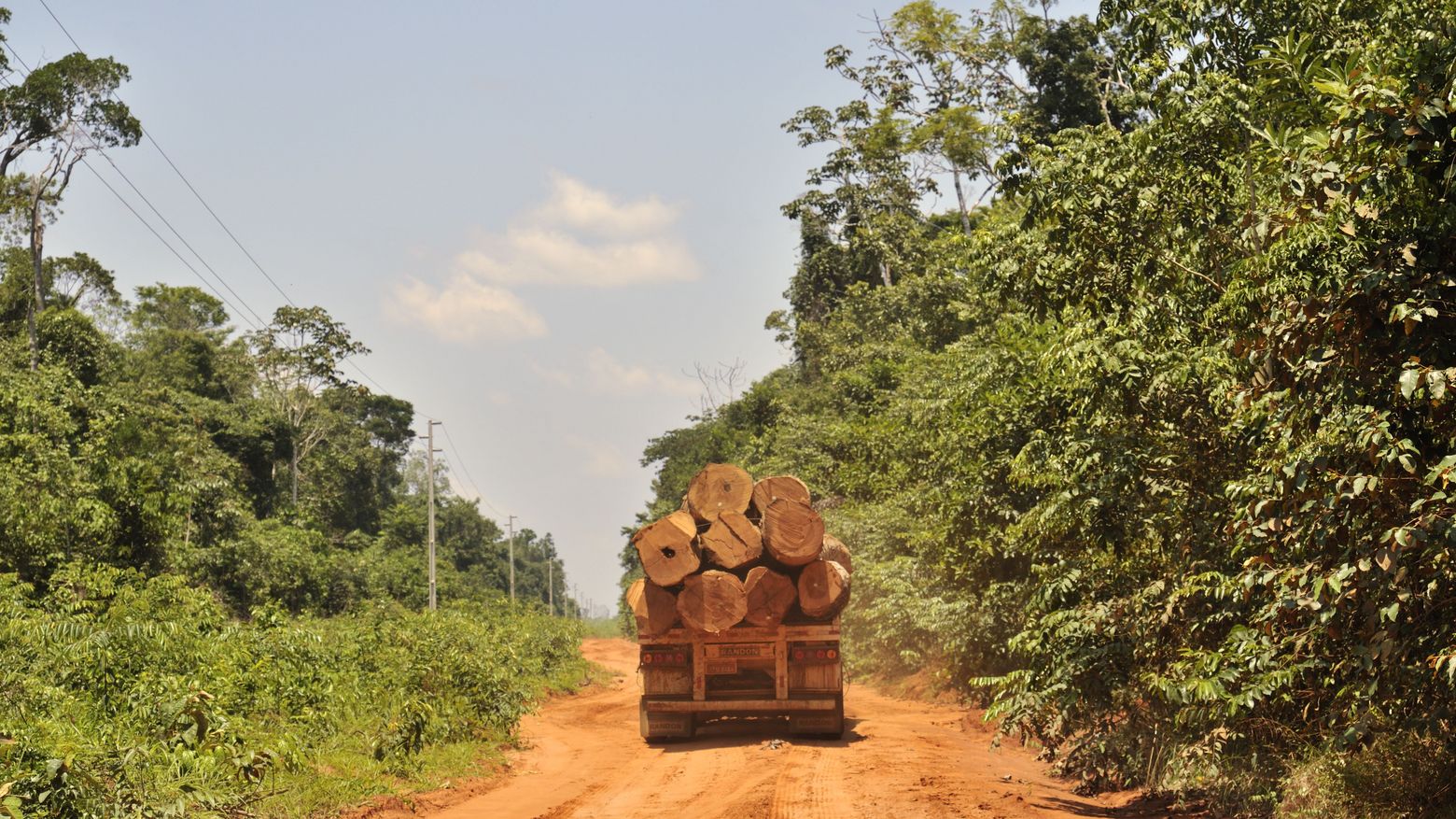 Bundesstraße BR 163 zwischen Lucas do Rio Verde und Sinop. Der Regenwald musste in den letzten Jahren Soja Monokulturen, Straßen und Viehweiden weichen, Mato Grosso, Brasilien