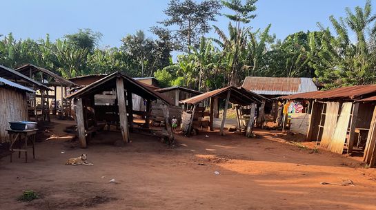 Dorfmarkt in Kpime/ Togo