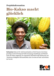 Projektinformation Indonesien