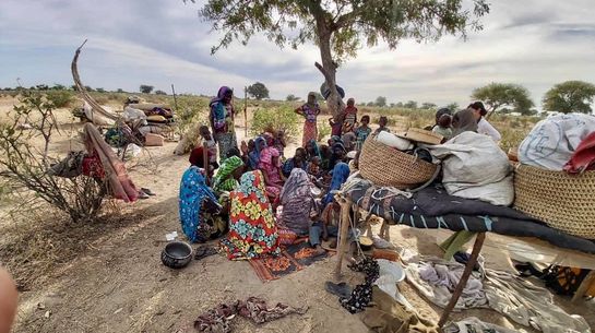 Mbororo Community, Chad