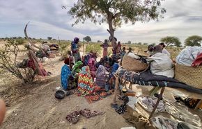 Mbororo Community, Chad