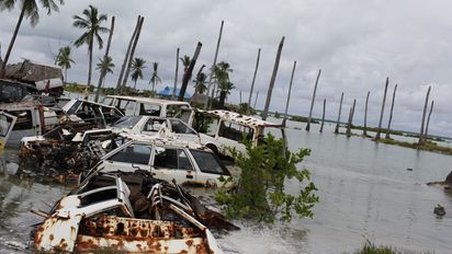 Autowracks und tote Palmen stehen im Wasser des Pazifiks