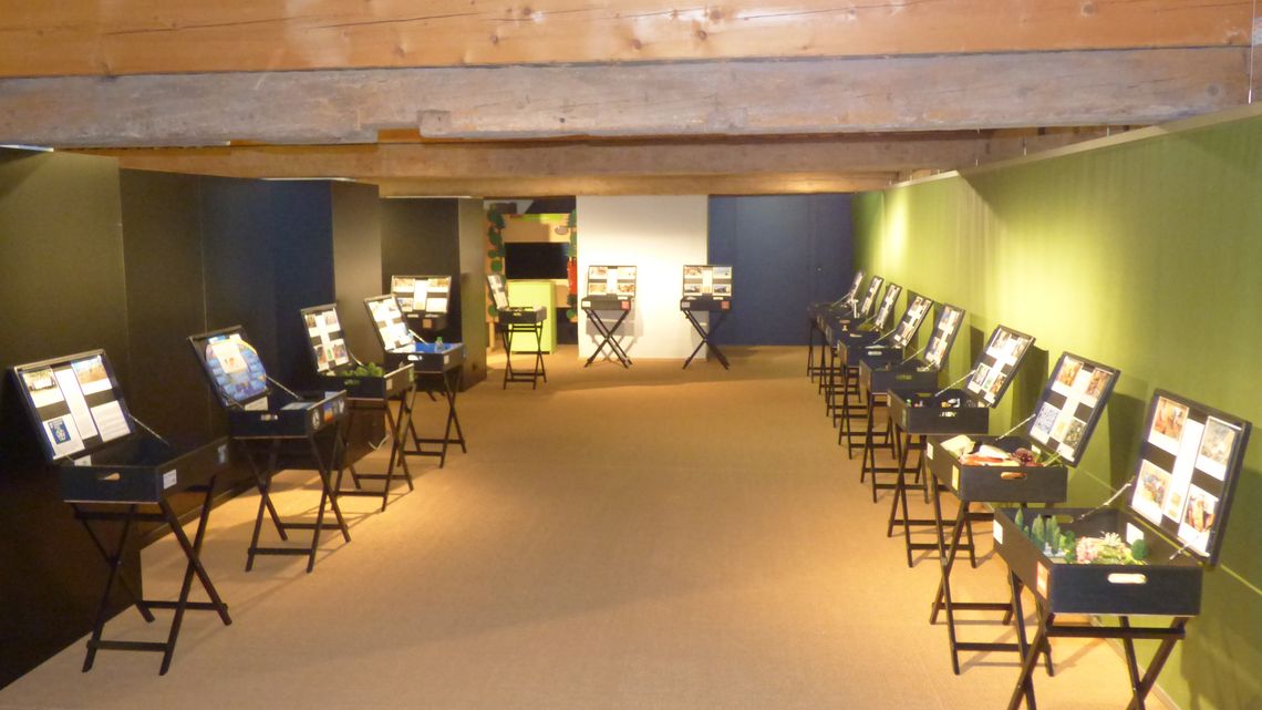 Die SDG-Ausstellung im Naturpark-Haus Oberschönenfeld