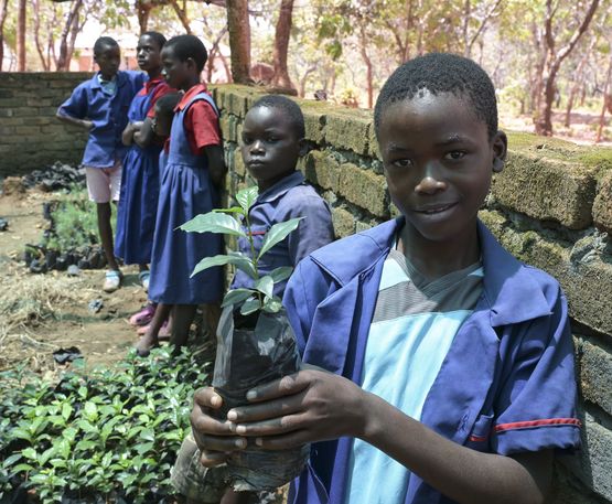 Chimwemwe Gama, mit Mitschüler*innen in der Baumschule, hält einen Baumsetzling in der Hand