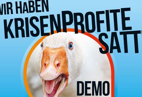 Wir haben es satt! Demo 2023