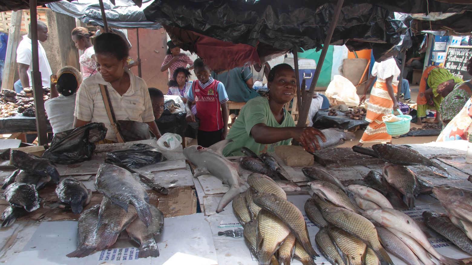 Fischverkauf am Hafen in Abidjan/Cote d'Ivoire