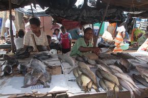 Fischverkauf am Hafen in Abidjan/Cote d'Ivoire