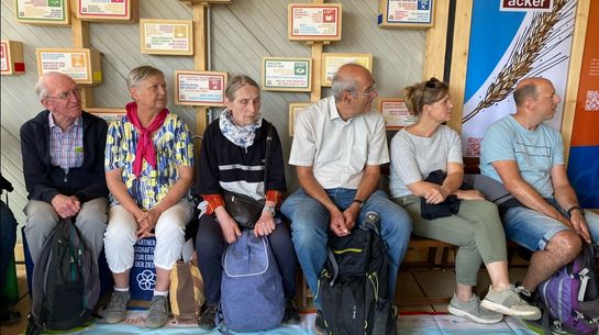 Botschafter.innen arbeiten konzentriert beim Workshop zum Weltacker mit.