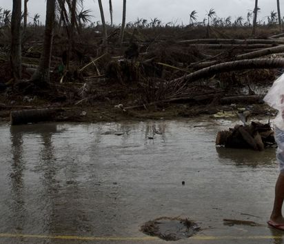 Asien, Philippinen, Taifun, Sturm, Verwüstung, Zerstörung, Landschaft, Palme, Mann, Jugendliche, Regen, trist, grau