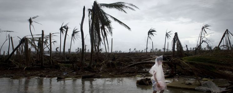 Asien, Philippinen, Taifun, Sturm, Verwüstung, Zerstörung, Landschaft, Palme, Mann, Jugendliche, Regen, trist, grau