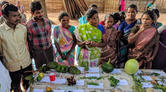 Bäuer*innen in Lankapakalu / Andhra Pradesh zeigen die Vielfalt ihrer Feld- und Waldfrüchte
