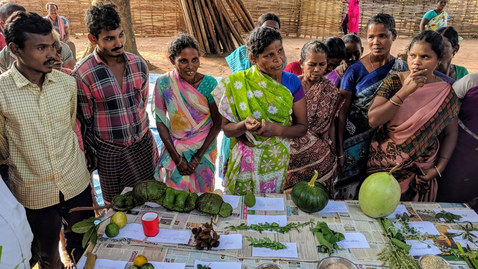 Bäuer*innen in Lankapakalu / Andhra Pradesh zeigen die Vielfalt ihrer Feld- und Waldfrüchte