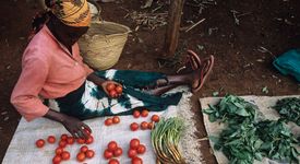 Bild zeigt Marktfrau die vom Mikrofinanzprogramm profitiert.