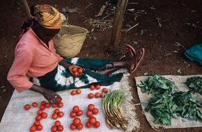 Bild zeigt Marktfrau die vom Mikrofinanzprogramm von einer Partnerorganisation profitiert.