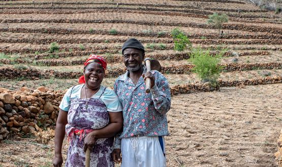 Simbabwe: Mit WhatsApp gegen Dürre und Hunger