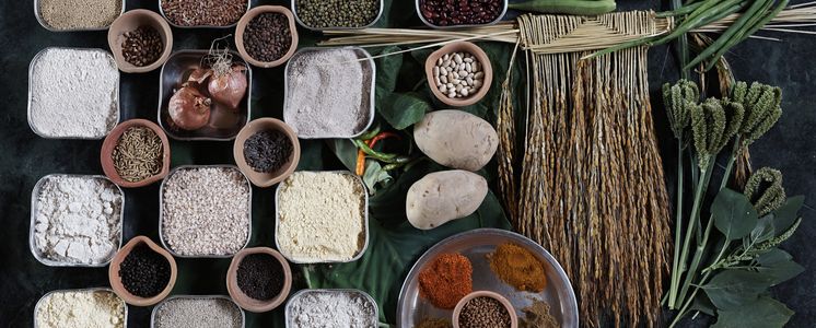 Asien, Indien, Navdanya, Sortenvielfalt, Sorten, Samen, Saat, Saatgut, Schaelchen, Aehre, Gemuese, Ernaehrung, Muster
