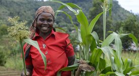 Frau Rose Siriveyi (47) aus dem Dorf Saride bei der Begutachtung ihres Sorghum Felds. Sie wird von der Organisation Rural Service Programme (RSP) beim biologischen Anbau von traditionellen Sorten und Sortenvielfalt unterstuetzt um eine gesunde Ernaehrung zu gewaehrleisten. Projekt: Rural Service Programme (RSP)