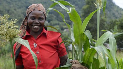 Frau Rose Siriveyi (47) aus dem Dorf Saride bei der Begutachtung ihres Sorghum Felds. Sie wird von der Organisation Rural Service Programme (RSP) beim biologischen Anbau von traditionellen Sorten und Sortenvielfalt unterstuetzt um eine gesunde Ernaehrung zu gewaehrleisten. Projekt: Rural Service Programme (RSP)