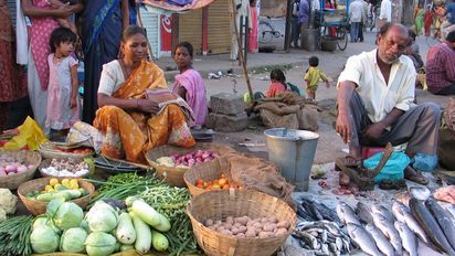 Stand eines Marktes in Indien mit Gemüse und totem Fisch