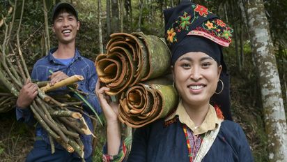 Ton Hoang Thi, 30 Jahre, Kleinbäuerin, seit 2018 im Projekt, und ihr Mann Herr Phuc Ban Hui, 30 Jahre, bei der Zimternte, die Rinde des Zimtbaum wird geschält und anschließend getrocknet, daraus entstehen die bekannten Zimtstangen.Projektpartner: Yen Bai Womens‘ Union - YBWU