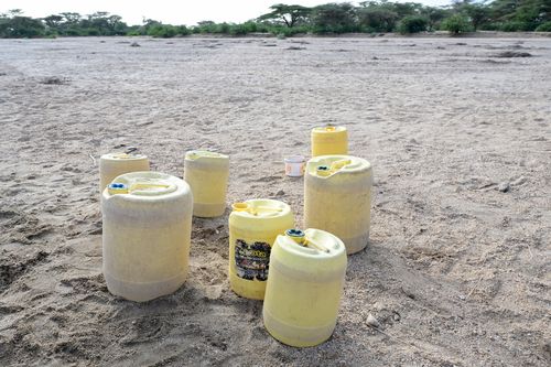 Dürre in Turkana