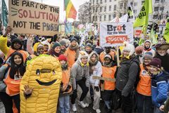 Wir haben es satt!-Demonstration 2024. In diesem Jahr unter dem Motto: „Gutes Essen braucht Zukunft - für eine gentechnikfreie, bäuerliche und umweltverträgliche Landwirtschaft!“Foto: Teilnehmende von Brot für die Welt bei der Großdemonstration Wir haben es satt! „Gutes Essen braucht Zukunft - für eine gentechnikfreie, bäuerliche und umweltverträgliche Landwirtschaft!“ am 20.01.2024 in Berlin.