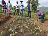 In Kenia lernen Kleinbauern und -bäuerinnen, durch das Anlegen von Terrassen Bodenerosion zu verhindern.