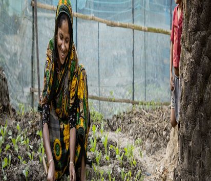 Frau in ihrem Gemüsegarten in Bangladesch