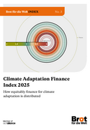 Climate Adaptation Finance Index 2025