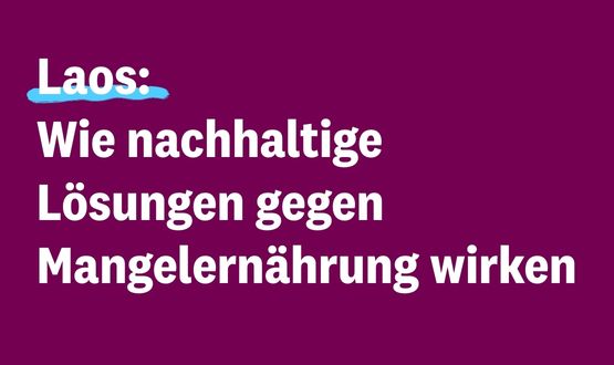 Laos: Wie nachhaltige Lösungen gegen Mangelernährung wirken Laos: Wie nachhaltige Lösungen gegen Mangelernährung wirken