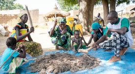Die Familie des Kleinbauern Benjamin Adama Nikiema hilft beim Dreschen der Rispenhirse.