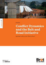 New Survey on Conflict Dynamics and the BRI