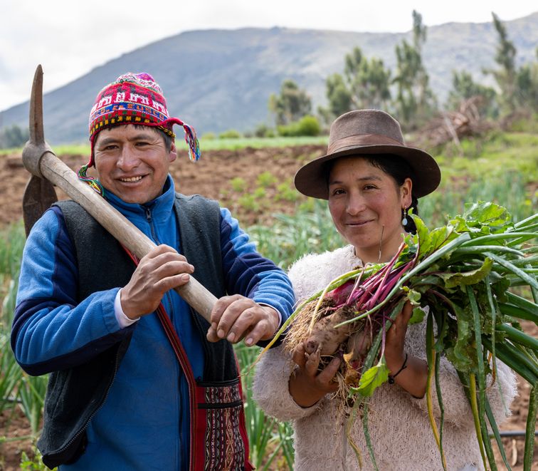 Das Projekt Arariwa in Cusco kümmert sich um die Entwicklung von nachhaltiger Familienlandwirtschaft in der Region.Feldarbeit:Der Landwirt Javier Quispe Valle mit seiner Frau Alicia Champi Salazar auf seinem Feld mit frisch geernteten Zwiebeln.Projektpartner: ARARIWA - Asociacion Arariwa