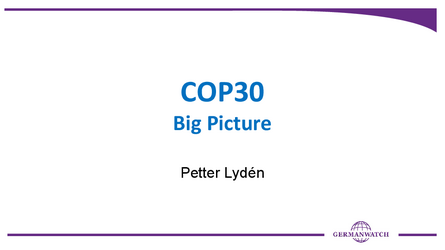 COP 30 Big Picture (Petter Lydén, Germanwatch) COP 30 Big Picture (Petter Lydén, Germanwatch)