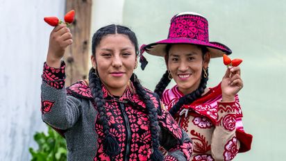 Zwei junge Frauen in Tracht, in einem Gewächshaus in dem Erdbeeren wachsen.Projektpartner: ARARIWA - Asociacion Arariwa