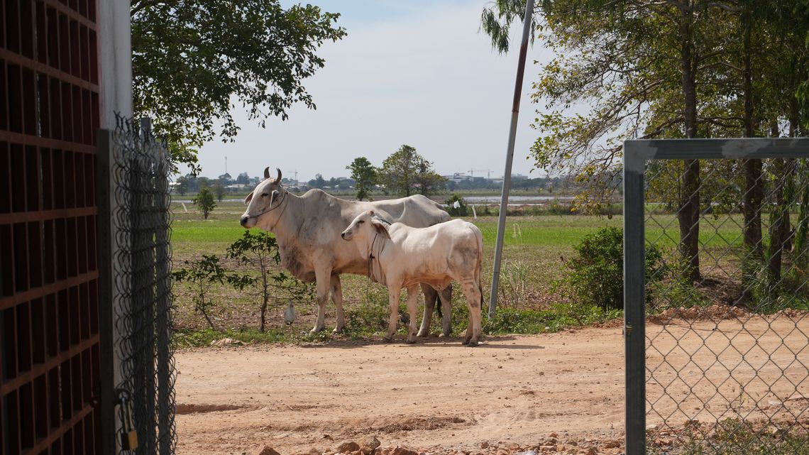 Der Blick vom KCD Büro auf dem Land ist wunderbar (das Hauptbüro befindet sich in der Hauptstadt