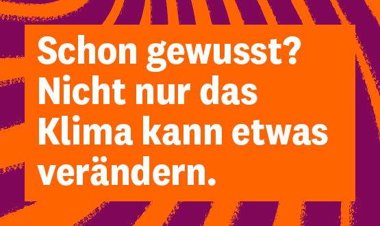 Ermögliche sturmsichere Häuser auf Fidschi