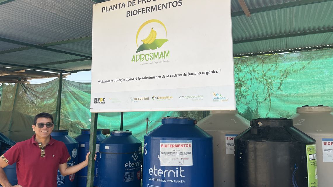 In der Anlage von CEDEPAS werden Bio-Düngemittel hergestellt, deren Mikroorganismen den Pilz bekämpfen.