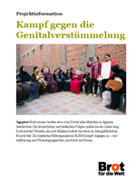 Projektinformation Ägypten