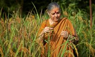 Wie Vandana Shivas Saatgutbank Ernten steigert
