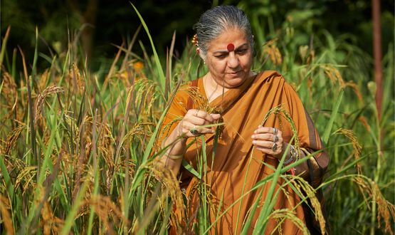 Wie Vandana Shivas Saatgutbank Ernten steigert