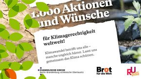 1000 Aktionen