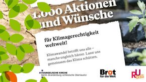 1000 Aktionen