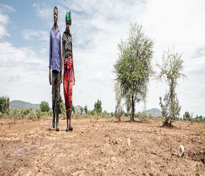 Kuda Gudyanga (46) and his wife NoMatter (39) from Nyanyadzi risk major crop and livestock losses.